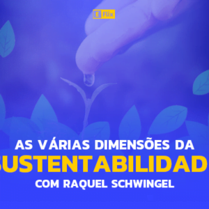 As Várias Dimensões da Sustentabilidade