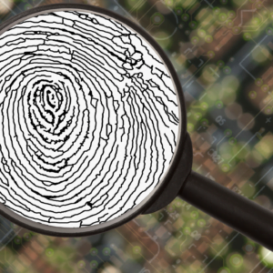 Aprenda a identificar autores de cibercrimes. Estratégias e procedimentos práticos